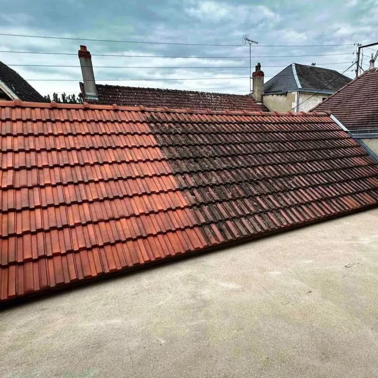Toit en tuiles avec une partie propre et l'autre couverte de mousse. Nettoyage de toiture vapeur basse pression à Mios en Gironde